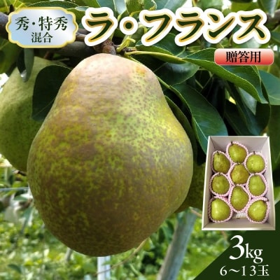 西洋梨(ラフランス)3kg　贈答用　0142-2610