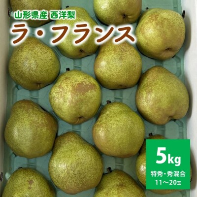 西洋梨(ラフランス)5kg　贈答用　0142-2612