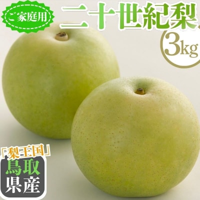 【2027年発送分先行受付】二十世紀梨(家庭用) 3kg【Y's Farm Tottori】