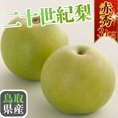【2027年発送分先行受付】二十世紀梨(赤秀) 3kg【Y's Farm Tottori】
