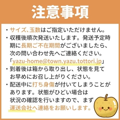 【2027年発送分先行受付】二十世紀梨(赤秀) 3kg【Y's Farm Tottori】