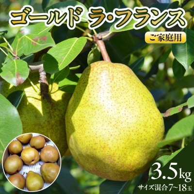 西洋梨(ゴールドラフランス)3.5kg　ご家庭用　0142-2614