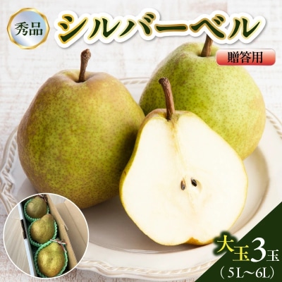 西洋梨(シルバーベル)大玉3玉　贈答用　0142-2615