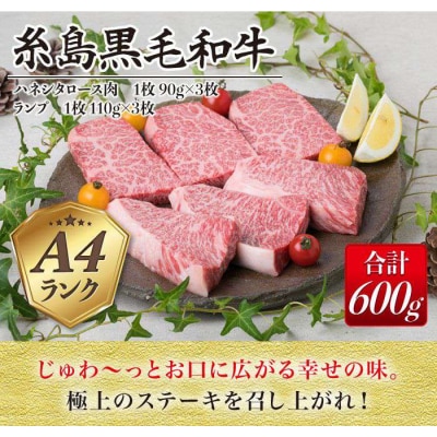 【極上 ステーキ】合計 600g (6枚入) ハネシタロース ランプ A4ランク [ACA041]