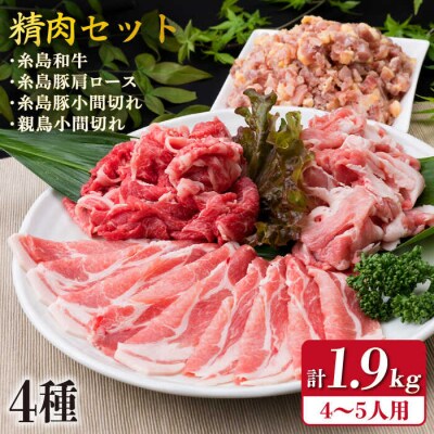 牛肉 豚肉 鶏肉 日常使いの精肉セット 1930g 4から5人前 4種 [ACA196]