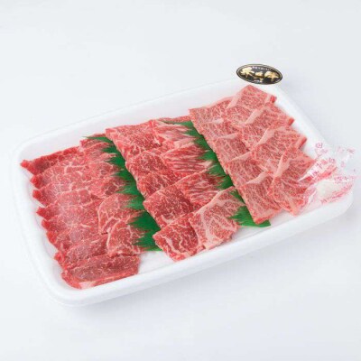 A4ランク 黒毛和牛 焼肉 3品盛 600g 入り【糸島ミートデリ工房】 [ACA015]
