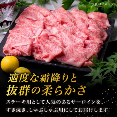 A4ランク 糸島 黒毛和牛 サーロイン スライス 500g【糸島ミートデリ工房】 [ACA065]