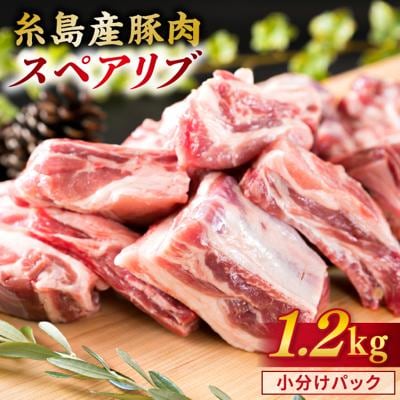 【バーベキュー/煮込み用】約1.2kg 糸島産豚肉 スペアリブ 糸島ミートデリ工房 [ACA093]