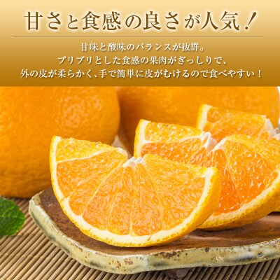 【2027年発送】宮崎県産 不知火(しらぬい) 約3kg(8～12玉入)
