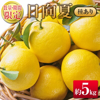 【2027年発送】宮崎県産 露地日向夏 約5kg(満杯詰め)