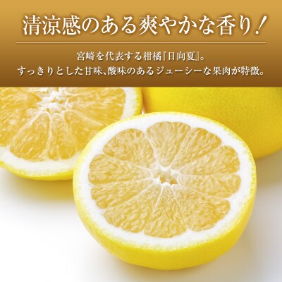 【2027年発送】宮崎県産 露地日向夏 約5kg(満杯詰め)