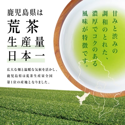 【鹿児島県産緑茶】かごしまのお茶 かせだみどり(80g×3袋) 茶葉 3本セット 贈答 ギフト
