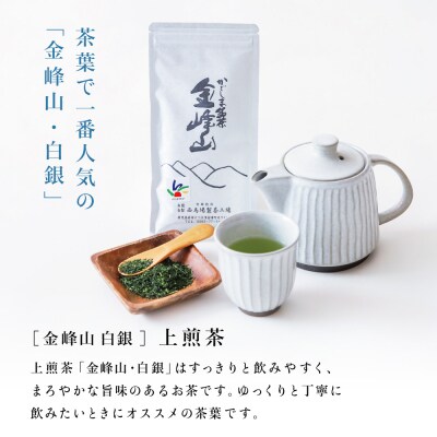 【鹿児島茶】自園自製 「金峰山 白銀」上煎茶&ティーバッグセット 贈答用 西馬場製茶