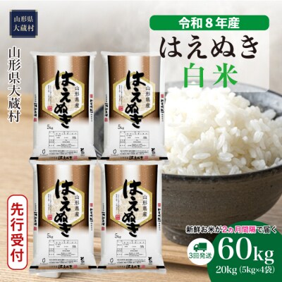 ＜8年産米先行受付＞令和9年1月下旬発送 はえぬき【白米】60kg定期便(3回定期便)大蔵村