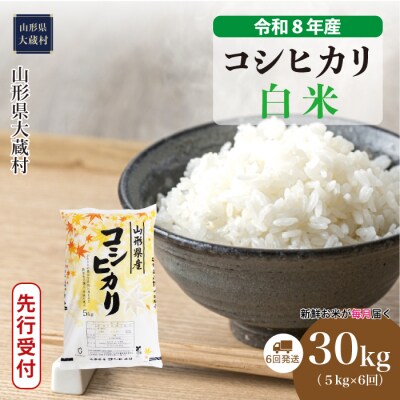 ＜8年産米先行受付＞令和9年2月中旬発送 こしひかり【白米】30kg定期便(6回定期便)大蔵村