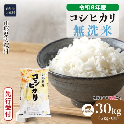＜8年産米先行受付＞令和9年1月上旬発送 こしひかり【無洗米】30kg定期便(6回定期便)大蔵村