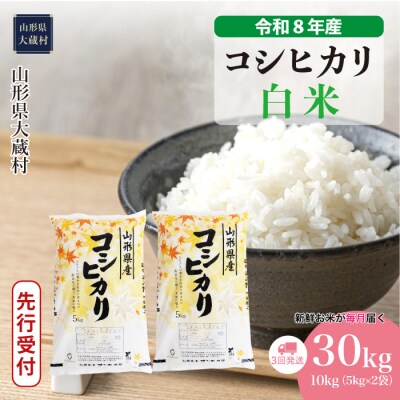 ＜8年産米先行受付＞令和9年2月下旬発送 こしひかり【白米】30kg定期便(3回定期便)大蔵村