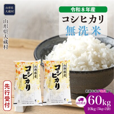 ＜8年産米先行受付＞令和8年11月上旬発送 こしひかり【無洗米】60kg定期便(6回定期便)大蔵村