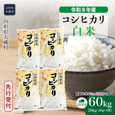 ＜8年産米先行受付＞令和8年12月中旬発送 こしひかり【白米】60kg定期便(3回定期便)大蔵村