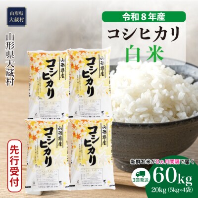 ＜8年産米先行受付＞令和9年2月上旬発送 こしひかり【白米】60kg定期便(3回定期便)大蔵村