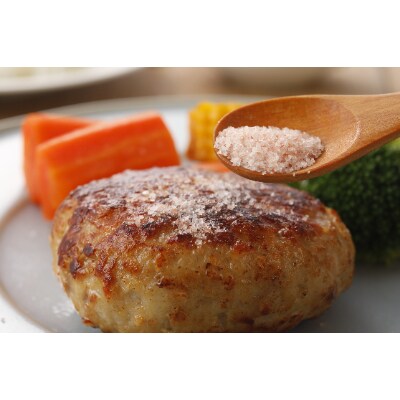 純系名古屋コーチン　白金ハンバーグ　100g×6パック
