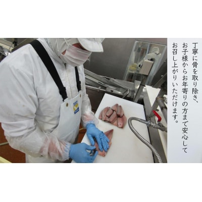 【無塩 サバフィレ】金華さば フィレ 骨なし 5枚入 冷凍 個包装 焼き魚 煮魚 宮城県 石巻市