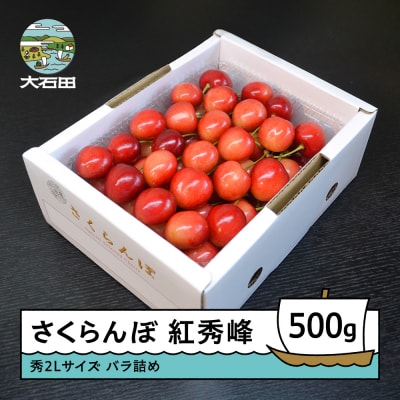 【先行予約】 さくらんぼ 紅秀峰 秀2L 500g 2027年産 ry-bss2b500