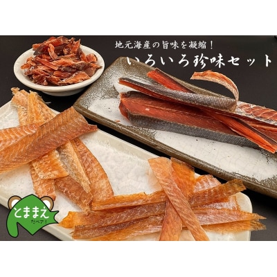 北るもい漁協のいろいろ珍味4種セット(鮭とば 鮭チップ 宗八かれい燻製 浅羽かれい) kit10