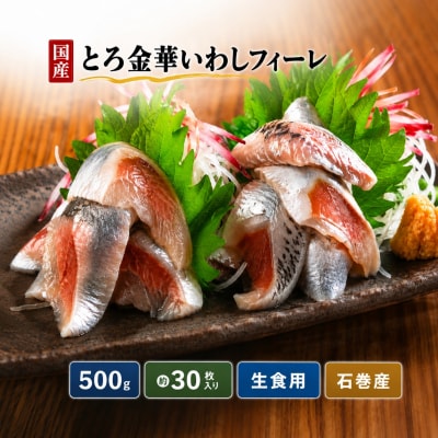 とろ金華いわしフィーレ 500g 金華いわし 鰯 いわし イワシ フィレ 切身 魚 魚介 海鮮 魚