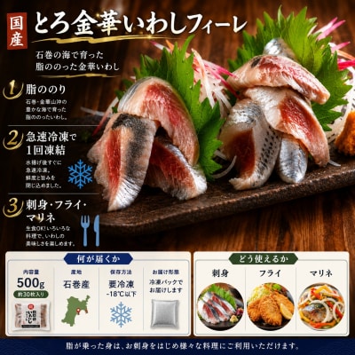 とろ金華いわしフィーレ 500g 金華いわし 鰯 いわし イワシ フィレ 切身 魚 魚介 海鮮 魚