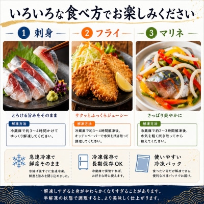 とろ金華いわしフィーレ 500g 金華いわし 鰯 いわし イワシ フィレ 切身 魚 魚介 海鮮 魚