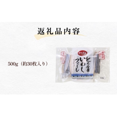 とろ金華いわしフィーレ 500g 金華いわし 鰯 いわし イワシ フィレ 切身 魚 魚介 海鮮 魚