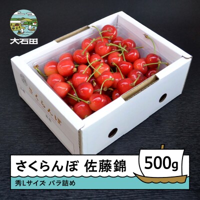 【先行予約】 さくらんぼ 佐藤錦 秀L 500g 2027年産 ry-snslb500