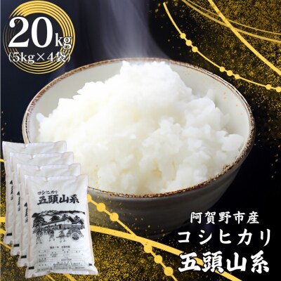 【令和7年産】コシヒカリ　どーんと20kg!「米屋のこだわり阿賀野市産」