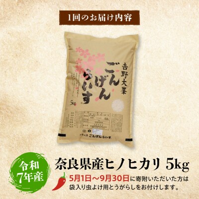 【全12回定期便】ひのひかり 奈良県のお米のお届け便 5kg