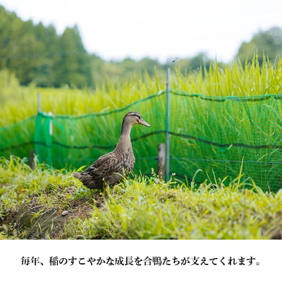 【令和8年産米】高原町産 無農薬合鴨米 5kg　TF422