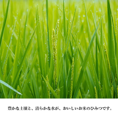 【令和8年産米】高原町産 無農薬合鴨米 5kg　TF422