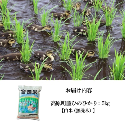 【令和8年産米】高原町産 無農薬合鴨米 5kg　TF422