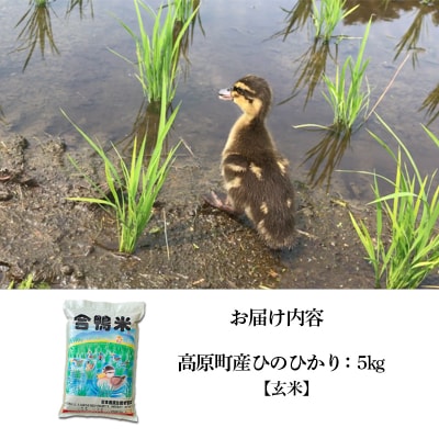  【令和8年産米】高原町産 無農薬合鴨米(玄米)5kg　TF424