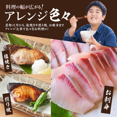 活〆天草ぶり ブリフィレ 約1.5kg【先行受付】_S042-005
