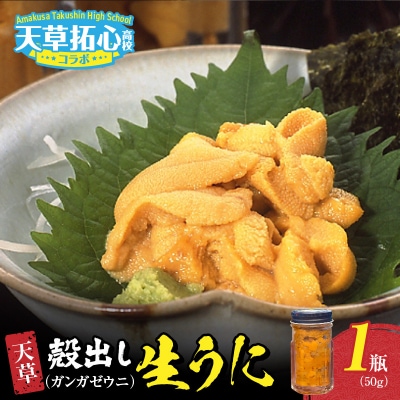 天草殻出し生うに50g_S168-009