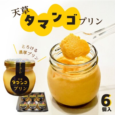 天草タマンゴプリン6個入り_S164-001