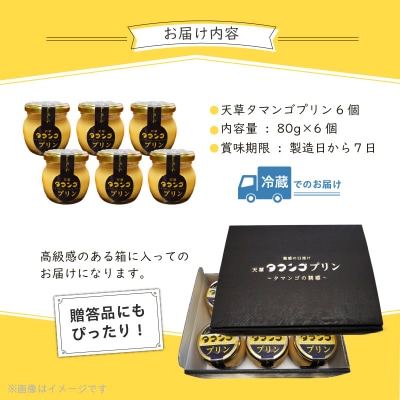 天草タマンゴプリン6個入り_S164-001