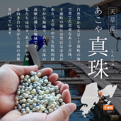 あこや真珠 ピアス 鑑別書 鑑定書 9mm - 9.5mm ホワイトピンク_S101-409