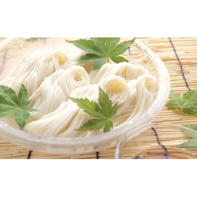 素麺 三兄弟 と ひやむぎ [2115004]
