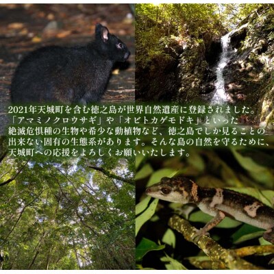 【返礼品なし】天城町 への寄付 (1口: 10,000円 )鹿児島 徳之島 天城町 寄附