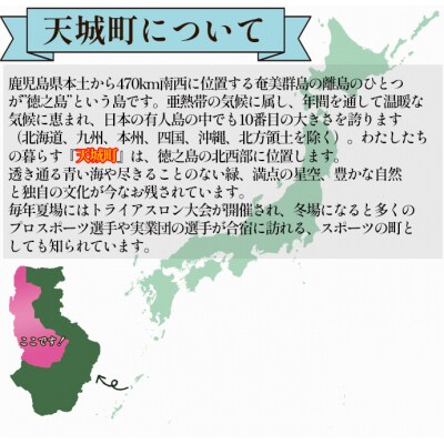 【返礼品なし】天城町 への寄付 (1口: 100,000円 )鹿児島 徳之島 天城町 寄附 応援 支