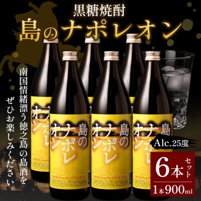 【鹿児島県天城町】奄美黒糖焼酎 島のナポレオン 900ml×6本セット 黒糖焼酎 瓶 計5.4L