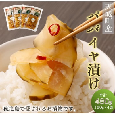 徳之島 天城町 パパイヤ漬け 4袋 セット パパイヤ 漬物 おつまみ 郷土料理 お土産