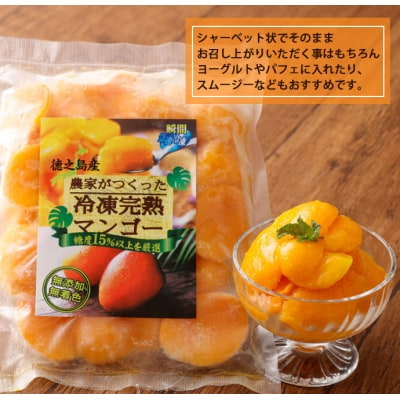 鹿児島県 徳之島 天城町産 冷凍 完熟 マンゴー 1kg(500g×2袋)冷凍マンゴー フルーツ